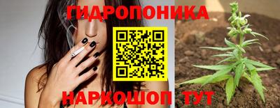 тгк Можга