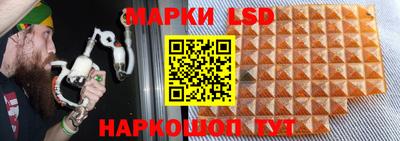тгк Можга