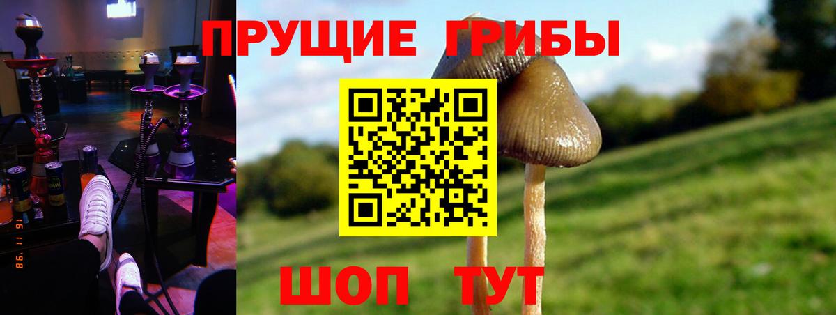 Псилоцибиновые грибы MAGIC MUSHROOMS Тара
