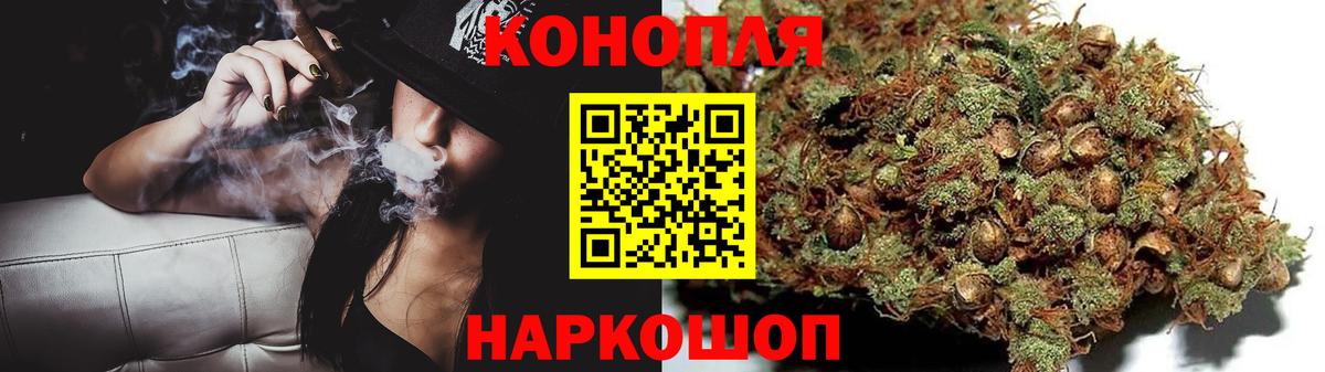 Бошки Шишки конопля  Вход с VPN  Марихуана план  Марихуана Ganja  Тара  Марихуана семена 